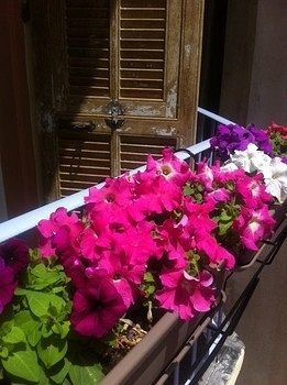 Hostel Altea Nicea Zewnętrze zdjęcie